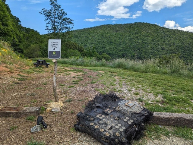 Debris from a SpaceX Dragon capsule launch falls into a hiking trail and campground in North Carolina, United States.