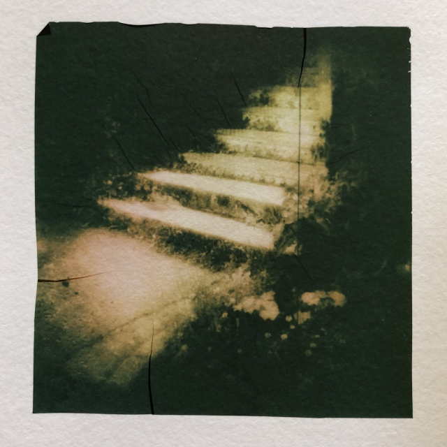 Light on an outdoor metal staircase covered with plants. The light invite to climb it. Polaroid emulsion lift.