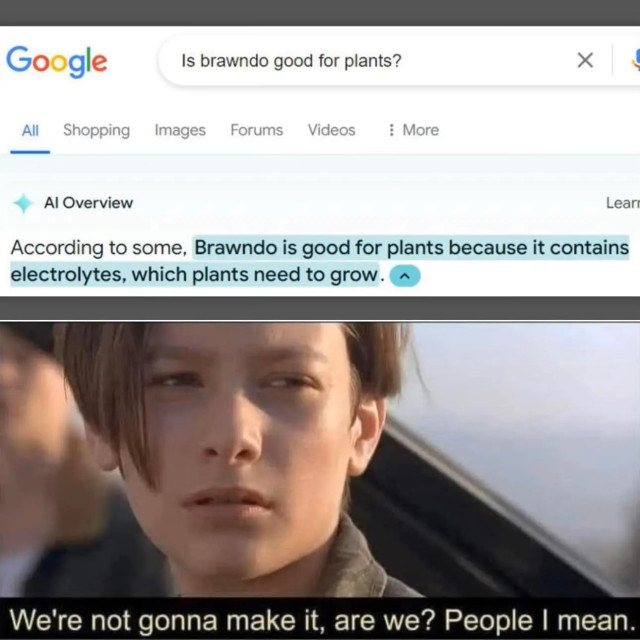 A Google search of "Is brawndo good for plants?" comes up with an AI Overview of, "According to some, Brawndo is good for plants because it contains electrolytes, which plants need to grow."

A picture below it is from Terminator 2 where young John Connor says, "We're not gonna make it, are we? People I mean."