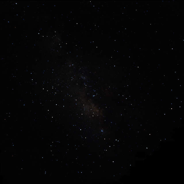 A true-color view of the center of the Milky Way fills the frame. Hundreds of individual stars of many colors are visible. The silhouette of some shrubbery in the foreground is visible at lower right.