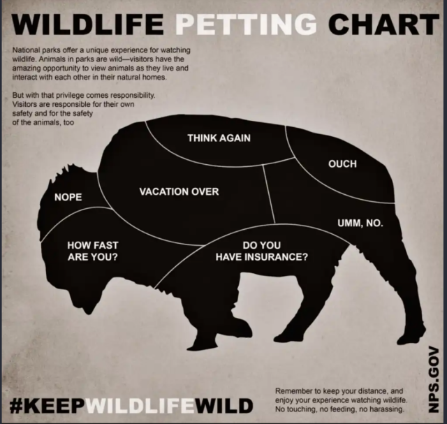 Wildlife Petting Chart. 

National parks offer a unique experience for watching wildlife. Animals in park are wild -- visitors have the amazing opportunity to view animals as they live and interact with each other in their natural homes. But with that privilege comes responsibility. Visitors are responsible for their own safety and for the safety of the animals, too.

Image of bison with words on body parts. On the head, "Nope"; on the torso, "Vacation Over"; on the behind, "Umm, no."

#KeepWildlifeWild