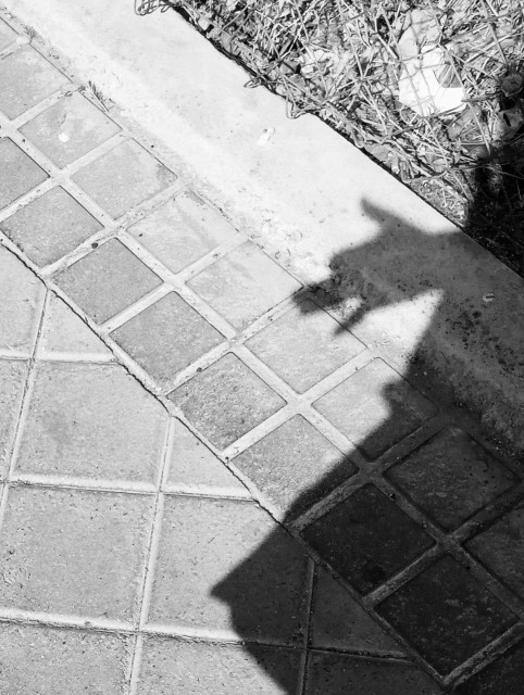 My photo using a black and white filter of a shadow of my hand making a dog head barking silhouette. For those with an overactive imagination, the details on the floor can be used to make out a vague eye and teeth in the open mouth