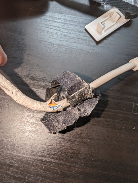 A picture of a network cable with a Velcro tie strap.  It is set against a black desk.

The cable and strap are heavily chewed and you can see the inside cable wires