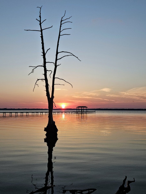 A hazy, cloudy night sky is set aglow in bright orange and red colors from the setting sun, nearly reaching the horizon where the opposite shoreline ofca vast river appears in silhouette. The glow is reflected upon the water's surface where a long wooden pier extends far into the wide river.  In the foreground a v-shaped cypress tree stands alone in the calm waters, casting it's shadow towards the shore where several dark driftwood remains rise from the shallow water.