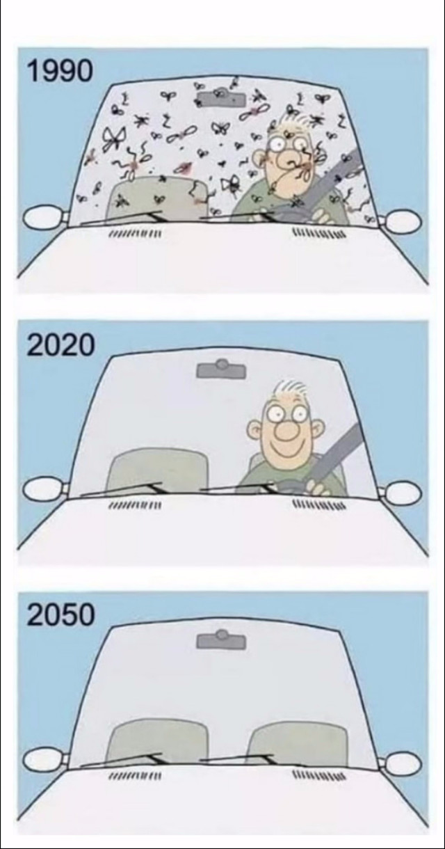 Three cartoon drawings, one atop the other. In the first drawing, labeled 1990, we see a man driving a car with the windshield/windscreen covered with dead insects. The man looks annoyed at the mess and inconvenience. In the second drawing, labeled 2020, the insects are gone and the windshield is clear. The man driving the car smiles happily. The third drawing is labeled 2050, and we still see the car, but now the man is gone. After all the insects died, did all the people die too?