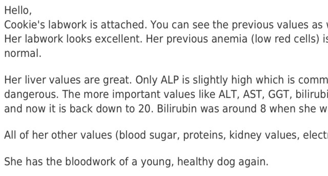 Screenshot of an email of a blood test lab result with commentary saying cookie has the bloodwork of a young and healthy dog again 