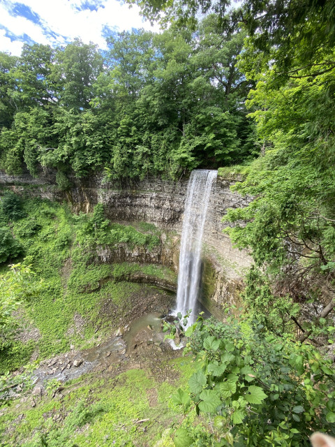 A tall waterfall cascading down a rocky cliff surrounded by lush green vegetation and trees.