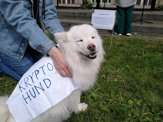En bild på hunden Leia som har på sig en mantel där det står "Kryptohund"