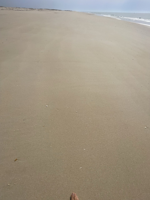 A vast expanse of sandy beach with the ocean in the background. A portion of a person's foot is visible at the bottom edge of the image.
