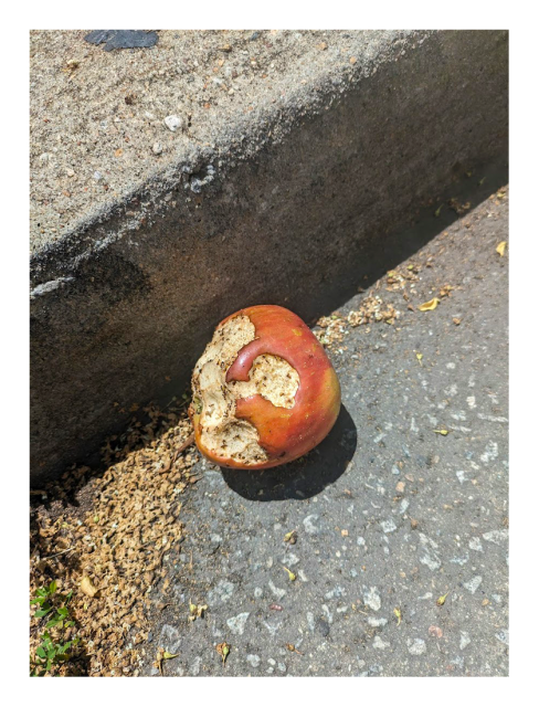 afternoon. a partially eaten red apple lies on asphalt at the edge of cement curb. the inside has begun to brown and is crawling with ants.