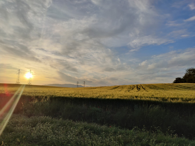 Sunrise on a corn field (which looks straw yellow in colour), with sun rays refracted through scattered clouds. High voltage pylons and mountains in the distance.