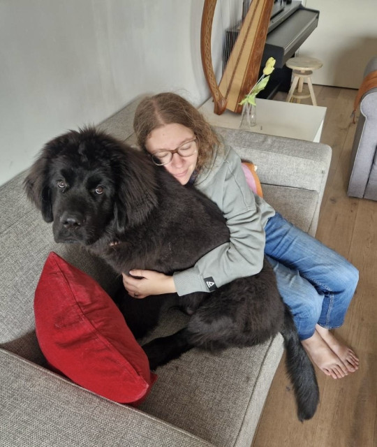 photo of me hugging Odin, who fits on my couch 