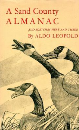A Sand County ALMANAC and sketches here and there

By ALDO LEOPOLD