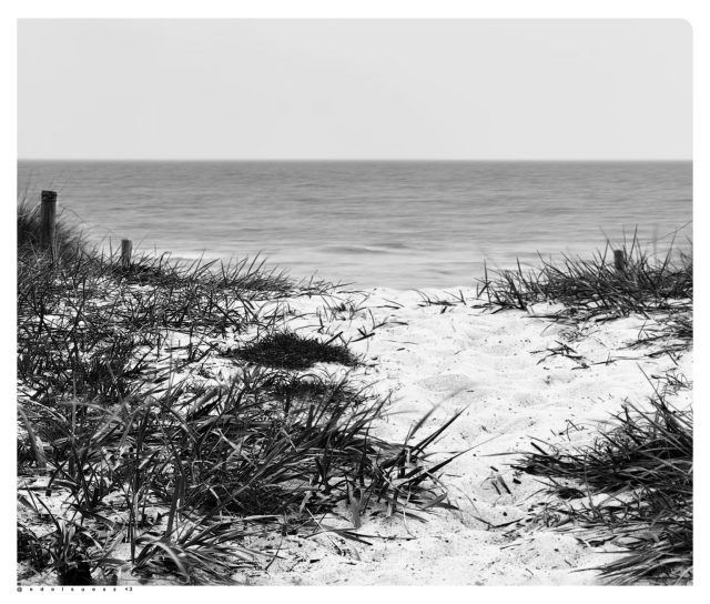 Schwarzweißfotografie: Strandzugang über eine Düne, im Vordergrund heller Sand mit sporadischem Grasbewuchs, über der hügeligen Düne im Hintergrund unscharf grau, verschwommen die glatte Ostsee 