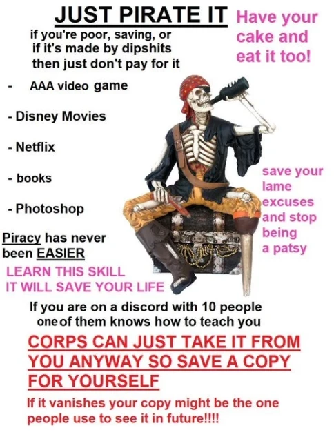 A skeleton drinking rum. Lots of text. JUST PIRATE IT. Netflix, Disney, Photoshop, take it all for free. It's easier than ever. 