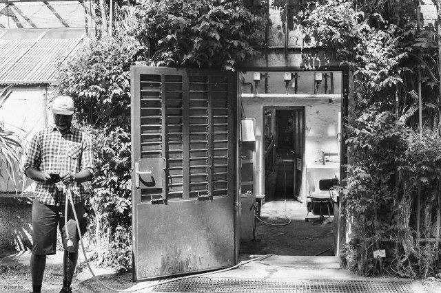 Black and white analog shot showing an open door in the center revealing a maintenance room of a greenhouse. Next to the door stands a gardener with a hose in one hand (leading back into the building) and his smartphone in the other, smiling.