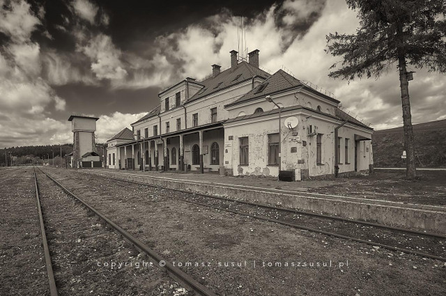 A sepia-toned monochrome photograph of an abandoned large station building. A three-storey building with sloping roofs and a covered outdoor waiting area. To the right is a tall tree with a bird house and in the distance is the water tower. The tracks run diagonally from the bottom of the photo to the left, disappearing into the woods in the distance. Bright flowers are growing between the tracks; they look like snowflakes.