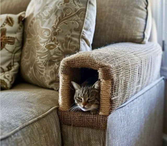 Photo of a couch. An armrest is hollowed out and made into a small enclosure. There's a cat inside looking out. 
