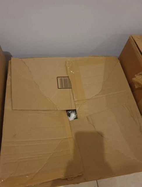 Box with a kitty's eyes looking out from it. It's ready to pounce and steal credit card info.