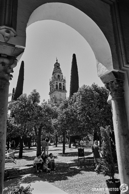 A black-and-white film photo of the Court of Oranges and the Mezquita bell tower viewed through an arch.
