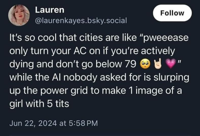 @laurenkayes.bsky.social 

It's so cool that cities are like "pweeease only turn your AC on if you're actively dying and don't go below 79 @ @ % " while the Al nobody asked for is slurping up the power grid to make 1image of a girl with 5 tits 

Jun 22, 2024 at 5:58 PM 