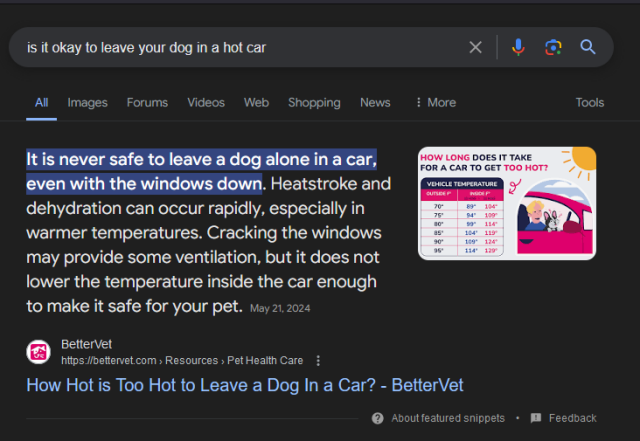A screenshot of a Google search result for "is it okay to leave your dog in a hot car" is displayed. The highlighted text states, "It is never safe to leave a dog alone in a car, even with the windows down. Heatstroke and dehydration can occur rapidly, especially in warmer temperatures. Cracking the windows may provide some ventilation, but it does not lower the temperature inside the car enough to make it safe for your pet." The source is BetterVet, and there is an infographic showing how quickly car temperatures can rise.