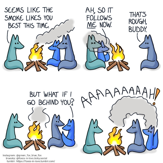 A comic of three foxes, one of whom is blue, the other is green, and the third one is smaller, lighter blue. In this one, Blue, Green and Blue's little brother are sitting at a campfire. Green is sitting on the left side while Blue and his brother are on the right, squinting their eyes shut as the smoke blows towards them. Green: Seems like the smoke likes you best this time.  Blue's little brother switches over to the left side, sitting next to Green. Now both of them are squinting, as the smoke switches sides to aim at their faces. Blue looks at them calmly. Little Blue: Ah, so it follows me now. Blue: That's rough, buddy.  Blue's little brother switches over to the other side, settling himself behind Blue's back. Blue looks at him with mild interest. Little Blue: But what if I go behind you?  Blue turns his eyes back towards the fire, watching the dancing flames as his little brother screams in frustration. Green looks up at the smoke, which arches neatly over Blue, dodging him completely and aiming itself entirely on Little Blue.