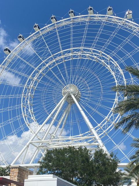 beautiful closeup of a giant ferris wheel! i am we are we will! 