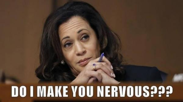 Meme consisting of an image of Senator Kamala Harris leaning sideways with a 'not buying your bullshit' look on her face. Across the bottom it reads: "DO I MAKE YOU NERVOUS???"