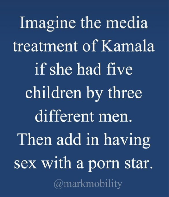 Imagine the media treatment of Kamala if she had five children by three different men.

Then add in having sex with a porn star.

(via @markmobility)