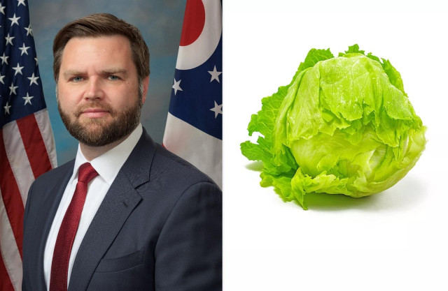 Image of JD Vance juxtaposed against a head of lettuce in a callback to UK former Prime Minister Liz Truss expected to not outlast a head of lettuce