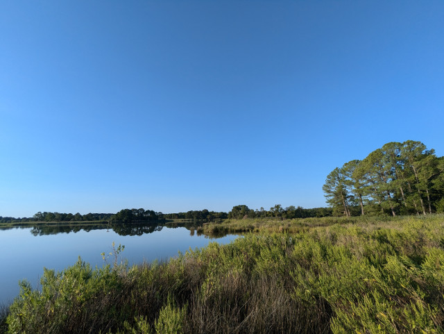 Photo of a clear morning sunrise over Harris Creek sun rising low to the left in a cloudless blue sky. Marsh is green and ready for the day. Creek water is calm and perfectly reflects the sun and sky.