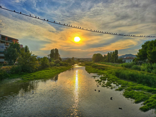 As day surrenders to dusk,
A parliament of birds convenes,
Silhouetted sentinels on high,
Bearing witness to the sun's retreat.

The sky, a canvas of gold and blue,
Painted with wisps of cloud,
Frames this daily spectacle,
A masterpiece of light and shadow.

Below, the river winds its course,
A ribbon of liquid fire,
Reflecting heaven's grand display,
And nature's quiet power.

The landscape holds its breath,
Suspended between two worlds,
As if time itself pauses
To honor this celestial changing of the guard.

Urban life and wild nature coexist,
In this liminal moment,
Where concrete meets reed bed,
And civilization touches wilderness.

The birds, still as stone,
Gaze upon the sinking sun,
Their vigil unbroken, unwavering,
In this cosmic theater of dusk.

Here, in the gloaming hour,
We're reminded of life's endless cycle,
Where every sunset is a lullaby,
And every sunrise, a new beginning.