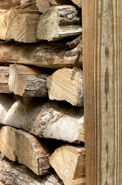 The whole photo is taken up by a closeup of a stack of firewood. There is a vertical shed 2x4 beam on the right. Nearly hidden between the layers of wood are two Northern Watersnakes. One is only exposing its head while the other’s head and upper body can be seen resting on the firewood. The snakes have red triangular markings.