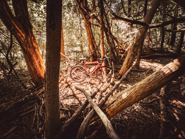 Photo of a red BMC roadmachine road bike, standing in the middle of a forest, surrounded by fallen trees and broken branches. there is a light shining right where the bike is standing that makes it look like it is radiating reddish orange light on the trees around it. 