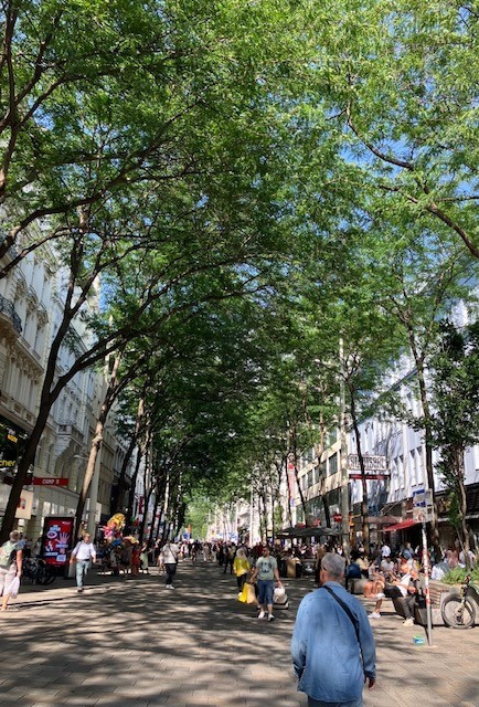 Fußgängerzone Mariahilferstraße in Wien  mit Blätterdach