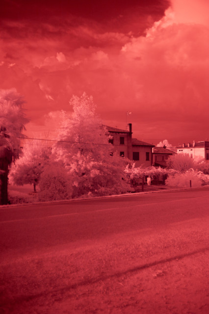 photo of a street in infrared, with a house hidden by some trees