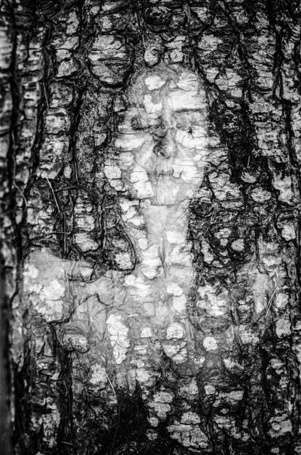 A woman's upper torso faintly emerges from the sharply defined bark of a tree. The bark texture is still visible on her skin, and the edges of her frame fade into the tree from the double exposure. Black and white. 