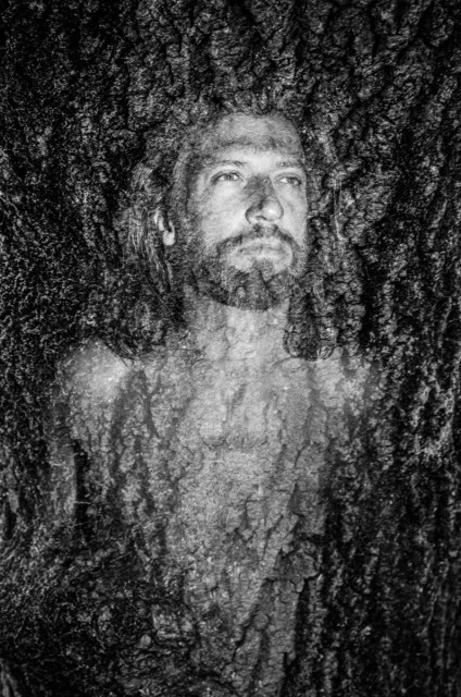 A bearded, naked man emerges from the bark of a tree, his eyes looking in the distance slightly off camera. Black and white. 