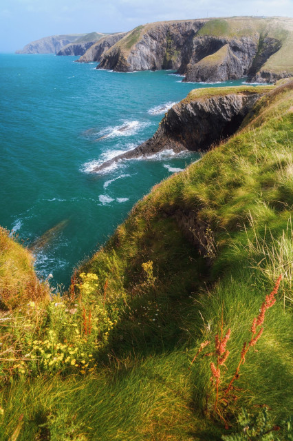 The image captures a breathtaking view of the rugged Pembrokeshire coastline near Ceibwr Bay. Steep, grass-covered cliffs plunge dramatically into the turquoise waters of the Irish Sea, their rocky faces weathered and striated. The coastline stretches into the distance, revealing a series of jutting headlands and secluded coves. In the foreground, lush grass and wildflowers, including vibrant red blooms, cling to the cliff edge, providing a colourful contrast to the deep blue sea below. White-capped waves can be seen breaking against the rocky shore, highlighting the wild and untamed nature of this stunning stretch of the Welsh coast.
