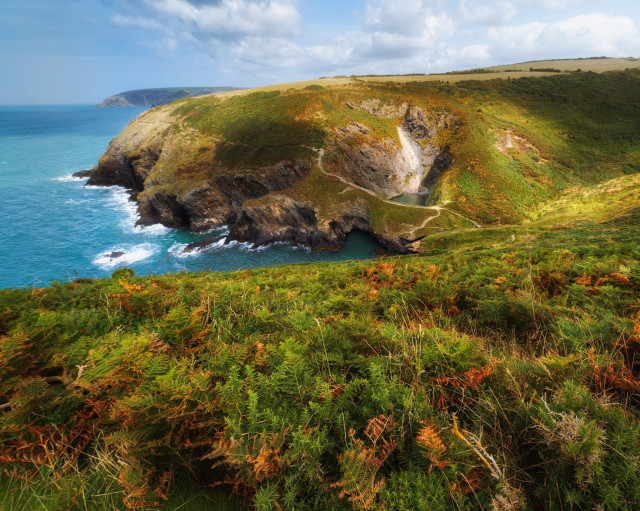 This captivating image showcases the dramatic coastal scenery of Pwll y Wrach, or the "Witches Cauldron", in Pembrokeshire. The foreground is carpeted with a vibrant mix of green and russet ferns, leading the eye to a spectacular collapsed sea cave. The circular cove, reminiscent of a cauldron, is embraced by steep, grass-covered cliffs streaked with exposed rock. A narrow, winding footpath can be seen tracing its way down the cliff face. The turquoise waters of the Irish Sea lap at the base of the cliffs, creating white foam where they meet the rocks. In the distance, the rugged coastline stretches away, its contours softened by the warm light, whilst fluffy clouds dot the blue sky above.