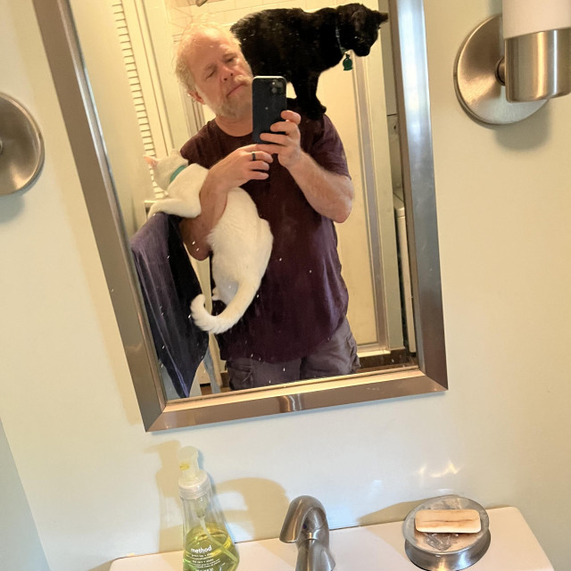 in a mirror, a man is taking a selfie while a black cat and a white cat crawl all over him