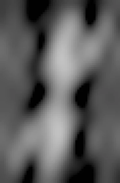 There are two images of the same naked woman connected at the waist. One is pointing up with her eyes open and arms above her head, one is pointing down with her eyes closed. Black and white. 