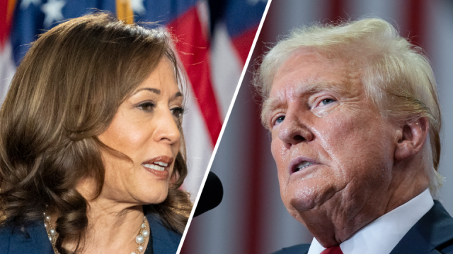 Harris and Trump