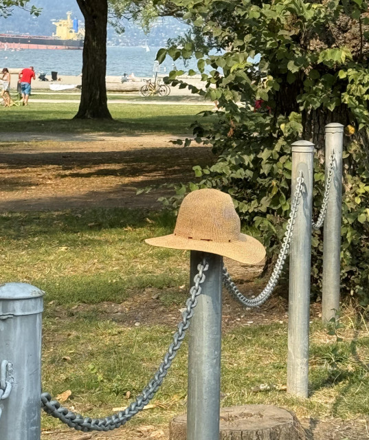 In the background, a green lawn/park with trees, with sandy beach and water in the far background. Foreground: Parking lot posts with a random straw hat sitting on one of them.