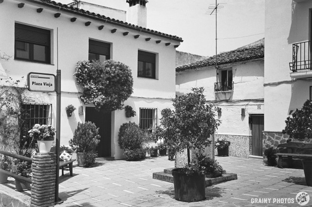 A black-and-white film photo of a small, pretty paved village square with old white houses around. There are numerous potted plants and a bench with scatter cushions.