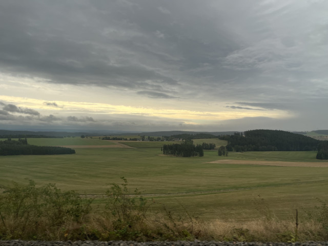 A wide open landscape mostly of grasslands, with small parcels of forest (mostly to the right of the picture). The sky is grey and low, with a slightly lighter shade of grey to the left. 