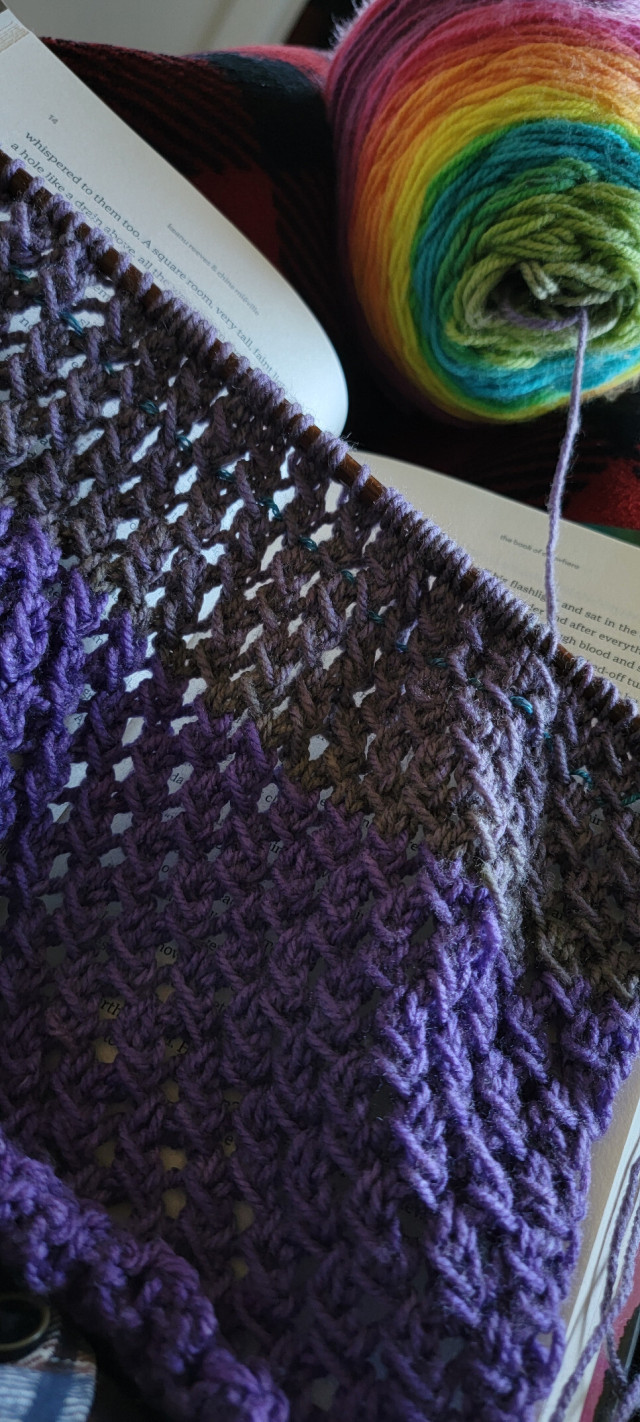 Knitted mesh in purple and charcoal, with skein of rainbow yarn