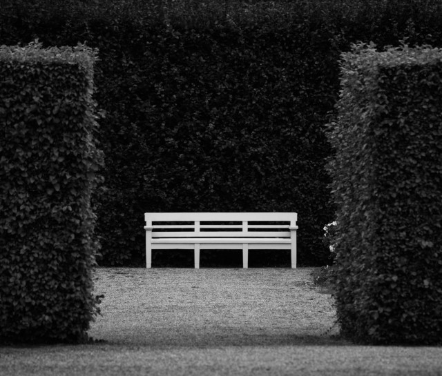 Schwarz-weiß Foto einer weißen Bank vor einer dunklen Hecke, die Bank ist links und rechts von zwei Hecken eingerahmt. Ein Kiesweg führt durch die zwei Hecken zur Bank.