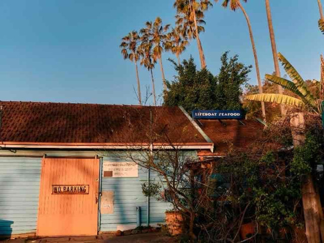 A blue building with a "No Parking" sign on an orange door and a "Lifeboat Seafood" sign above. Tall palm trees are in the background, with some foliage and greenery around the building.